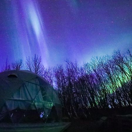 Iceland Igloo Village Hella Ngoại thất bức ảnh