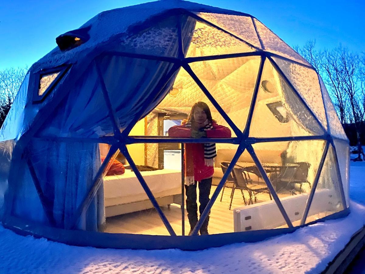 Iceland Igloo Village Hella Ngoại thất bức ảnh