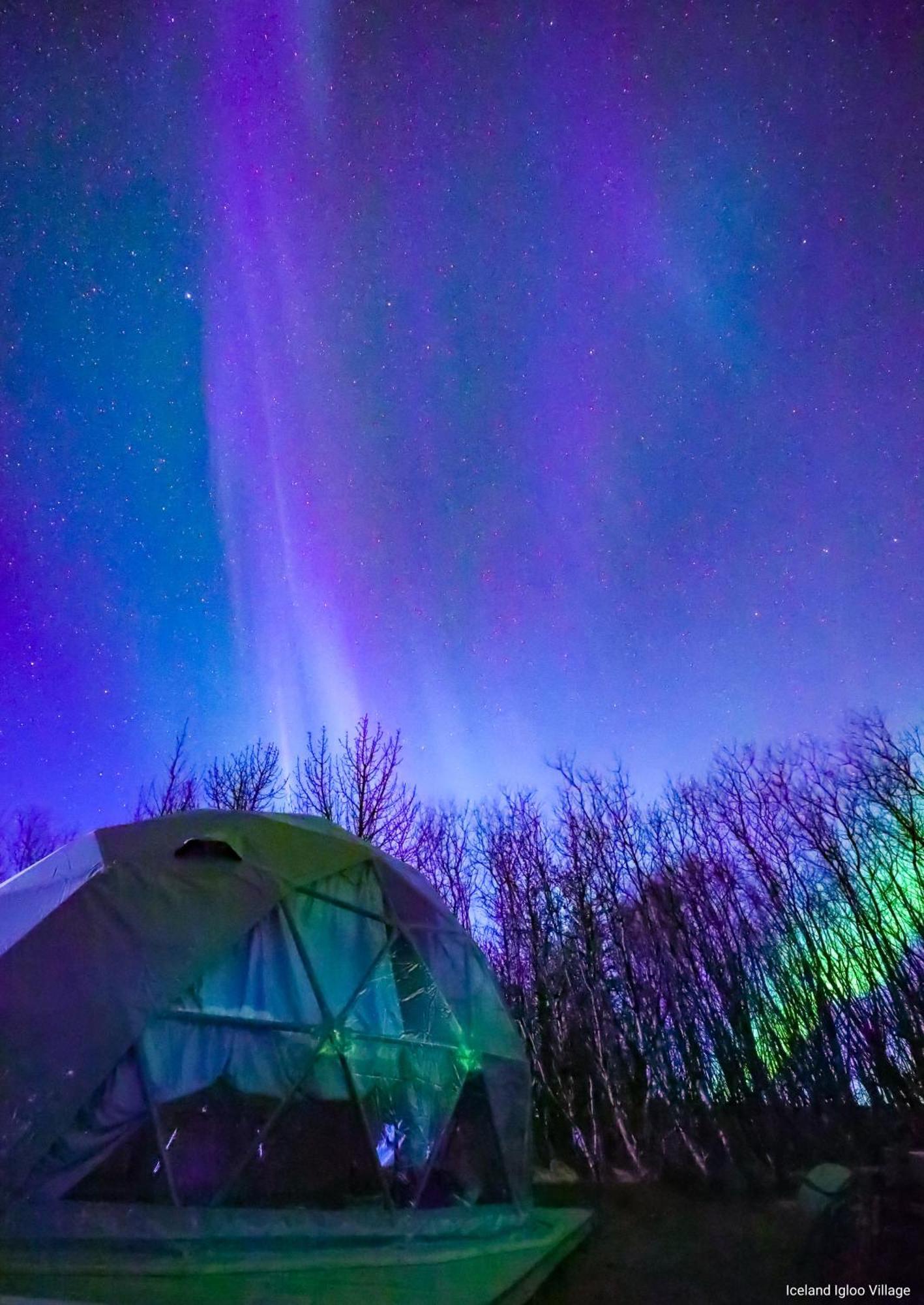 Iceland Igloo Village Hella Ngoại thất bức ảnh