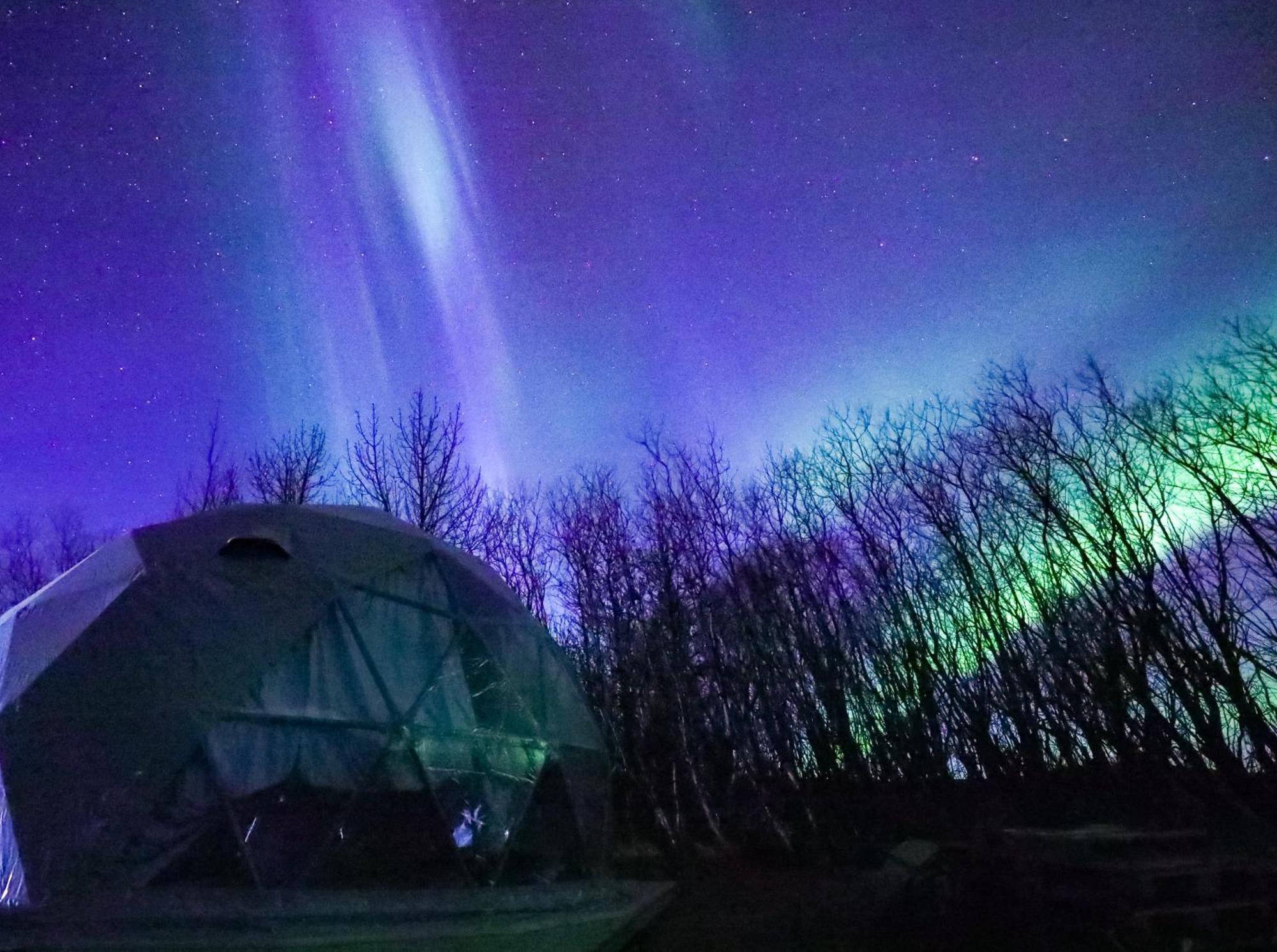Iceland Igloo Village Hella Ngoại thất bức ảnh